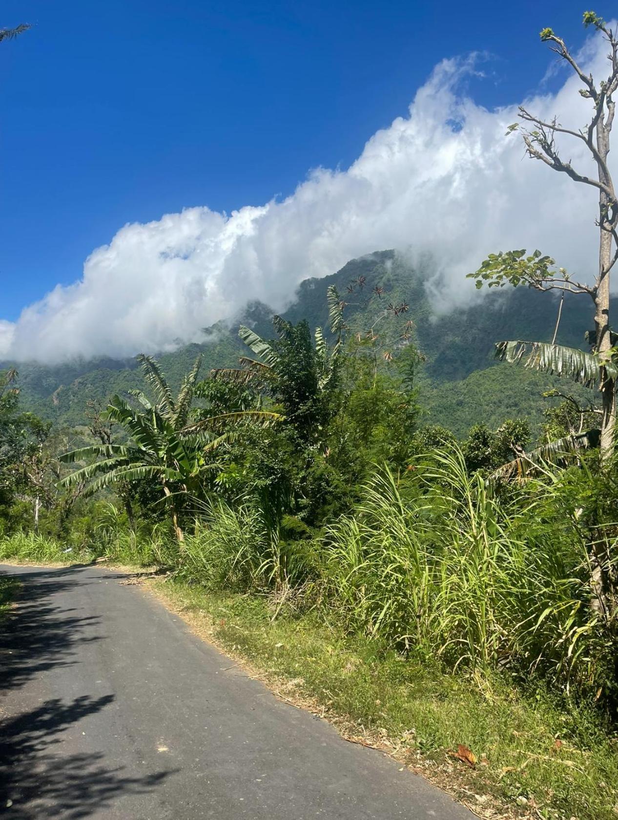 アメッド Tropical Habitat Baliヴィラ エクステリア 写真