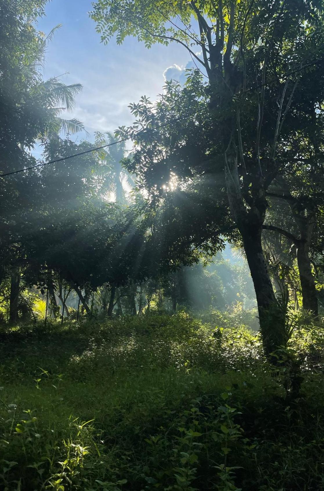 アメッド Tropical Habitat Baliヴィラ エクステリア 写真