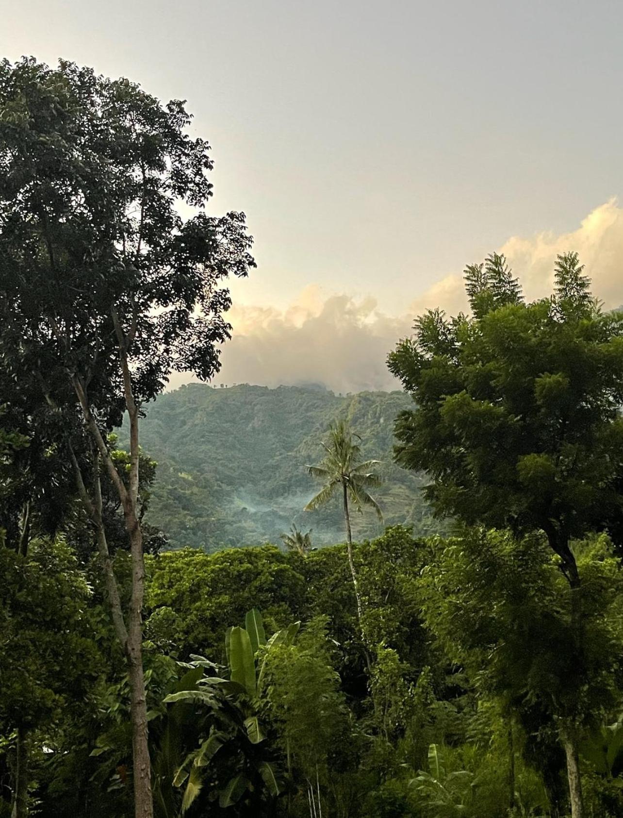 アメッド Tropical Habitat Baliヴィラ エクステリア 写真
