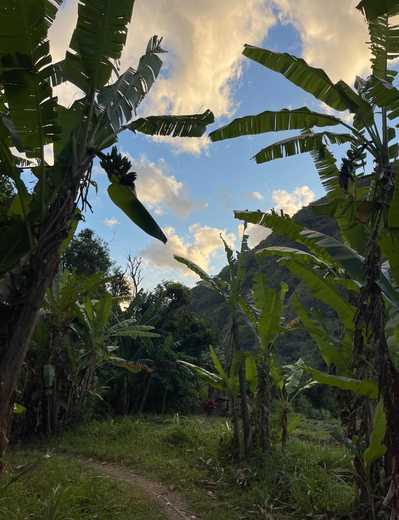 アメッド Tropical Habitat Baliヴィラ エクステリア 写真