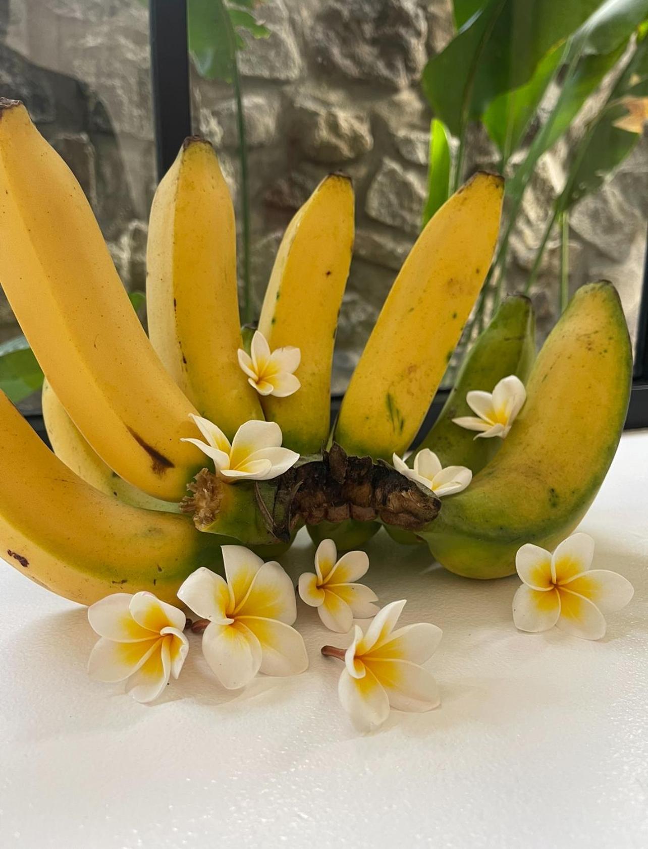 アメッド Tropical Habitat Baliヴィラ エクステリア 写真