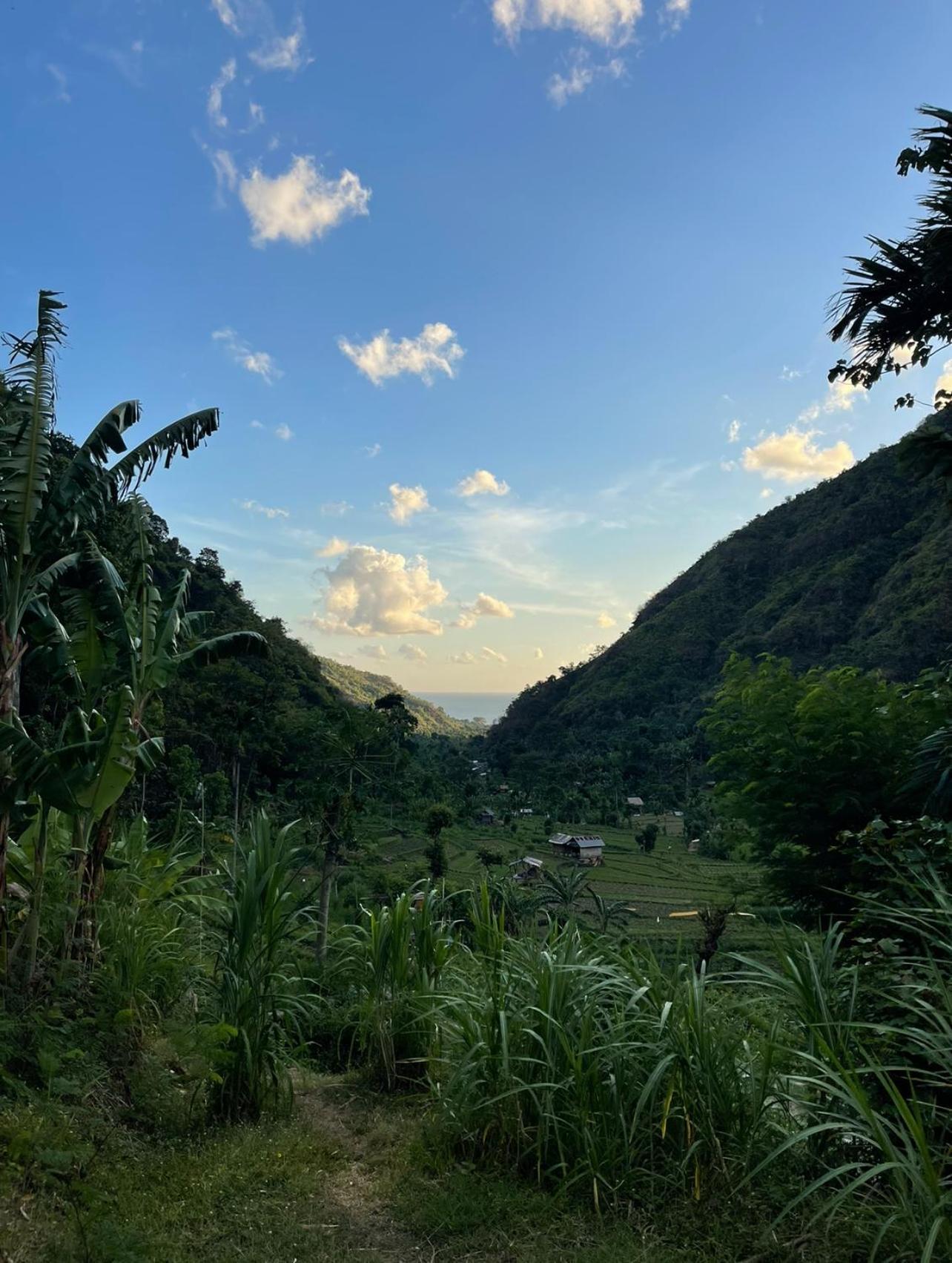 アメッド Tropical Habitat Baliヴィラ エクステリア 写真