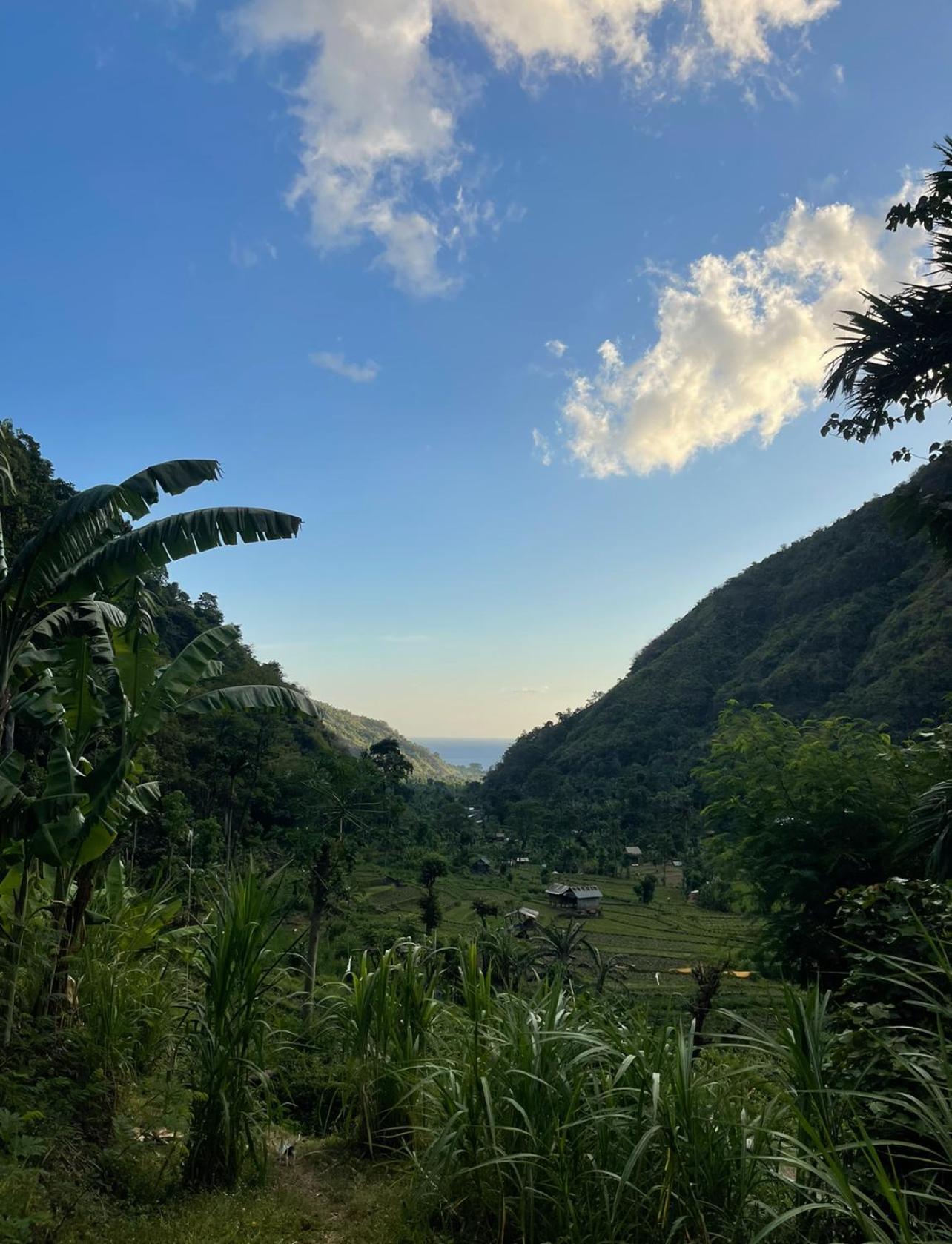 アメッド Tropical Habitat Baliヴィラ エクステリア 写真