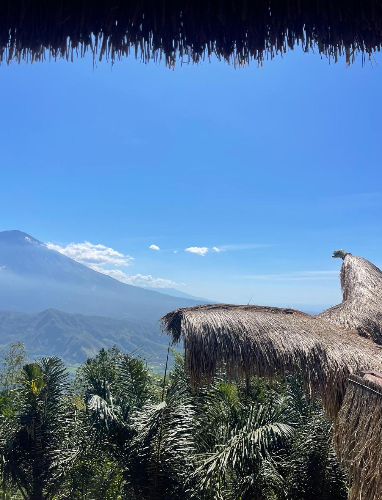 アメッド Tropical Habitat Baliヴィラ エクステリア 写真