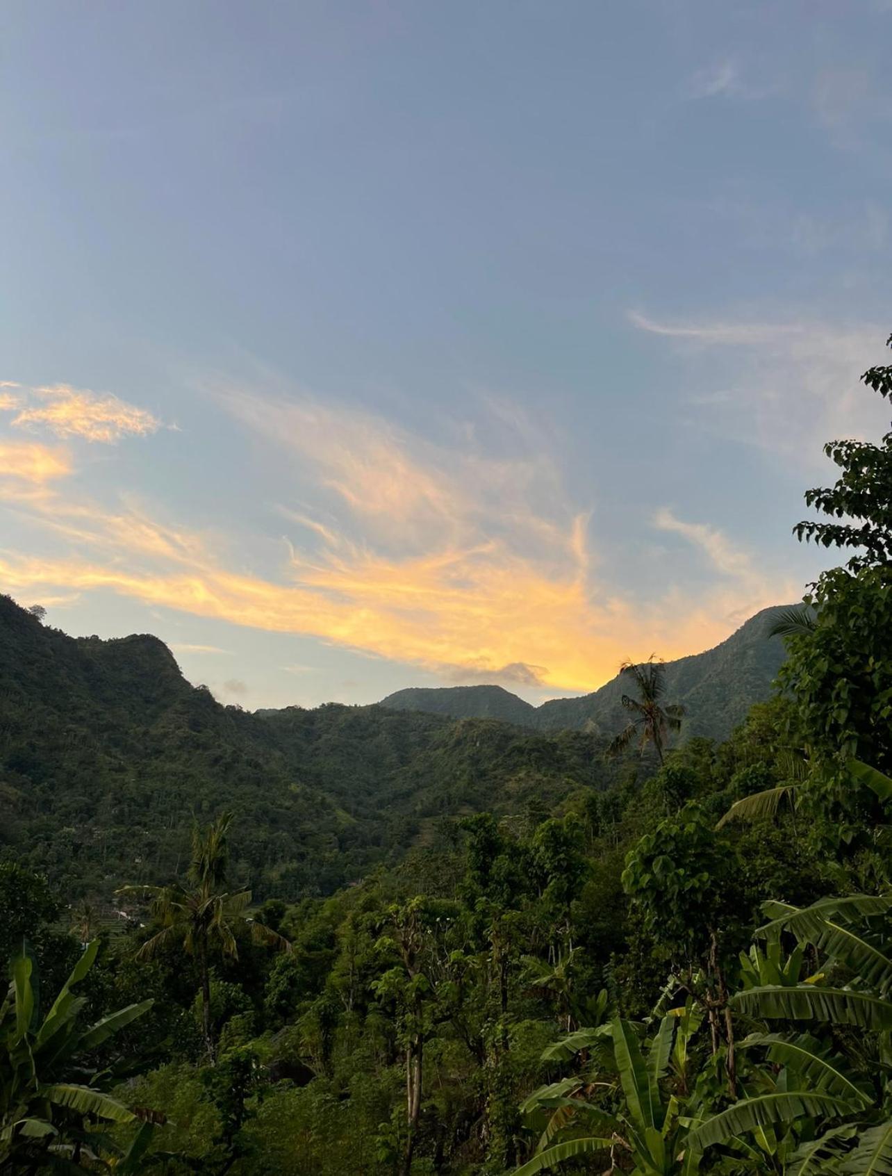 アメッド Tropical Habitat Baliヴィラ エクステリア 写真