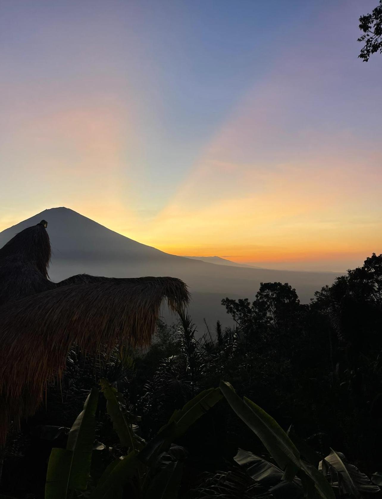 アメッド Tropical Habitat Baliヴィラ エクステリア 写真